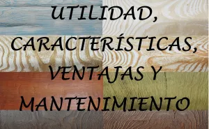 UTILIDADES, CARACTERÍSTICAS Y VENTAJAS