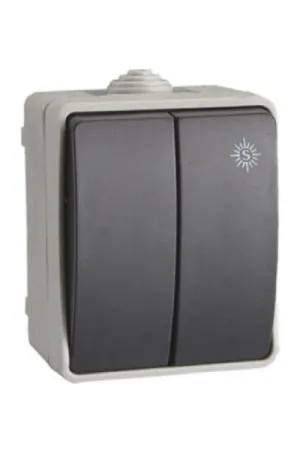 CONMUTADOR DOBLE SUPERFICIE IP54