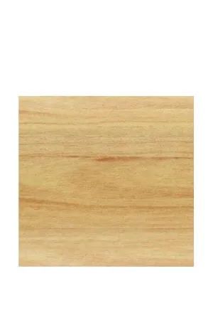 ZOCALO PVC IZZI COLOR 773 OLMO POLACO 2500X55 MM