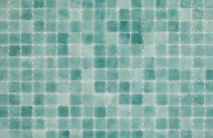 GRESITE PISCINAS 31X46.7CM FORMENTOR